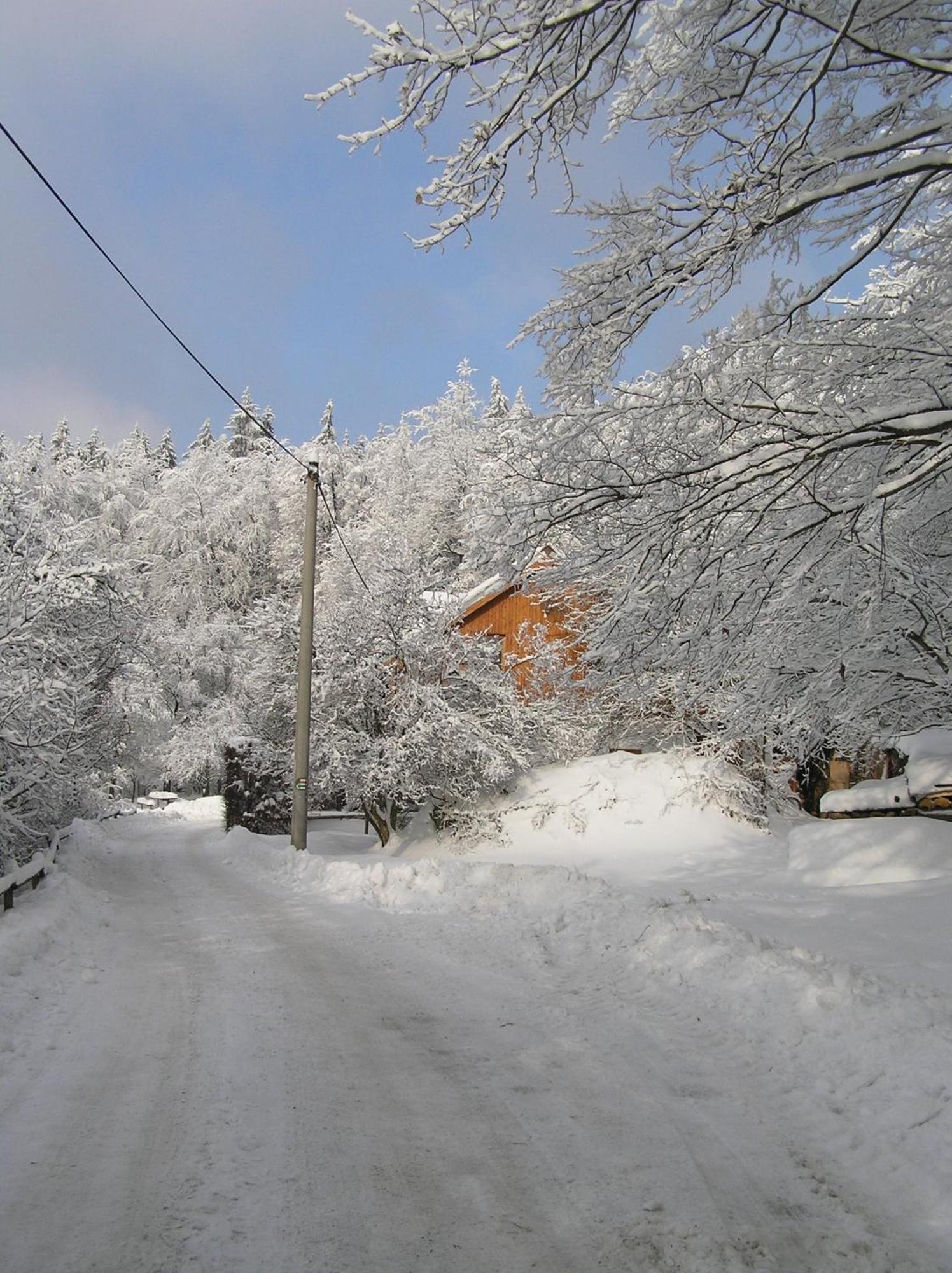 Penzion U Strakateho Kone Blansko Exterior foto