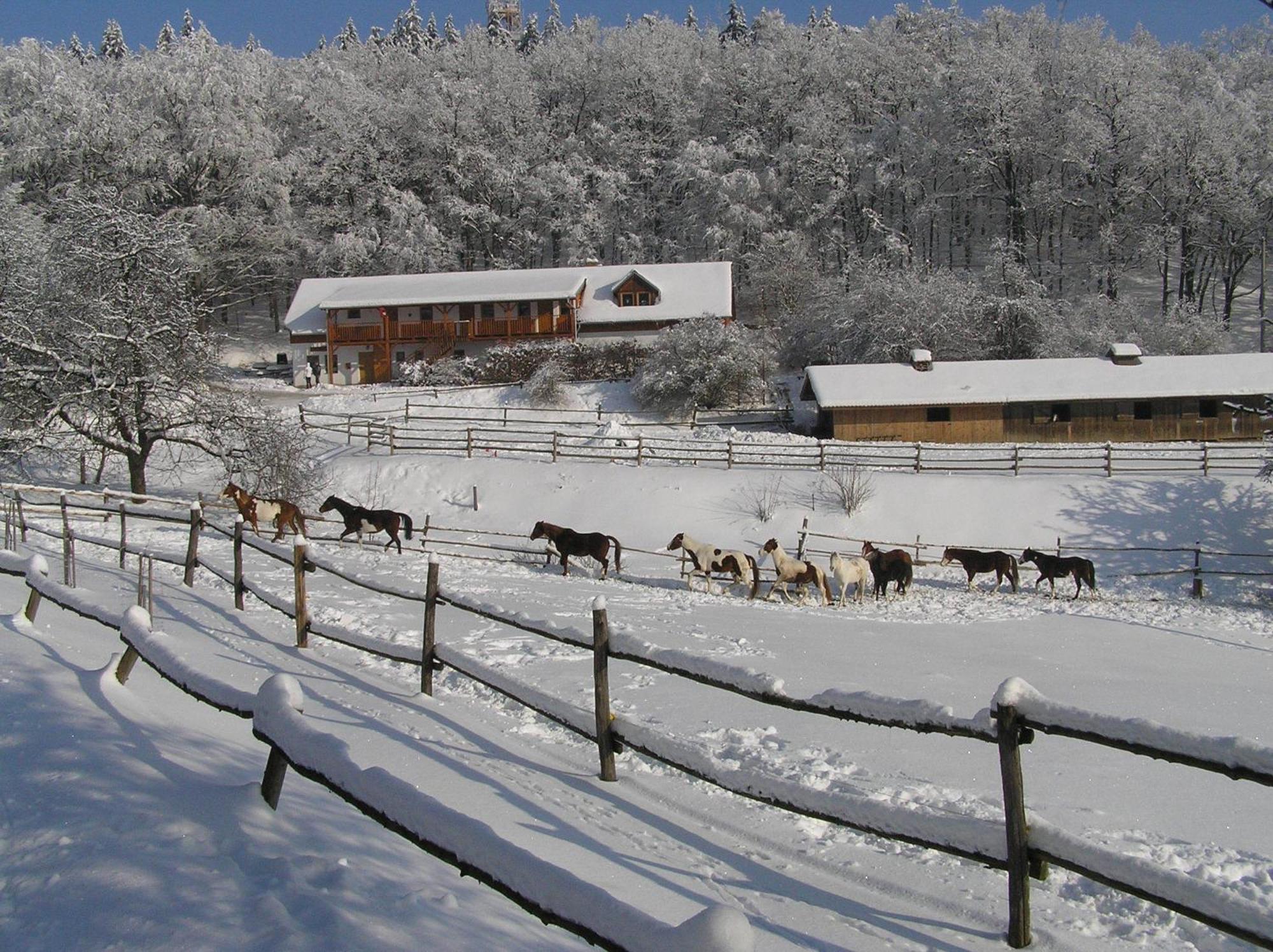 Penzion U Strakateho Kone Blansko Exterior foto